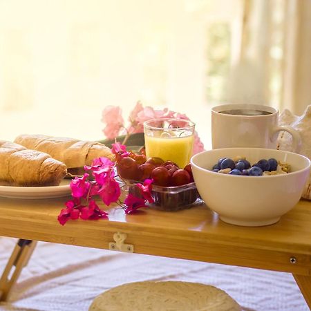 Agia Marina Olive Farmヴィラ エクステリア 写真