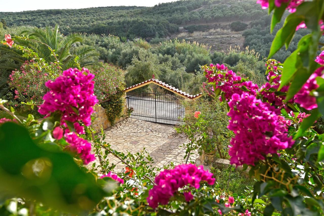 Agia Marina Olive Farmヴィラ エクステリア 写真