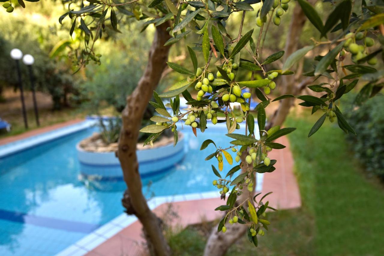 Agia Marina Olive Farmヴィラ エクステリア 写真