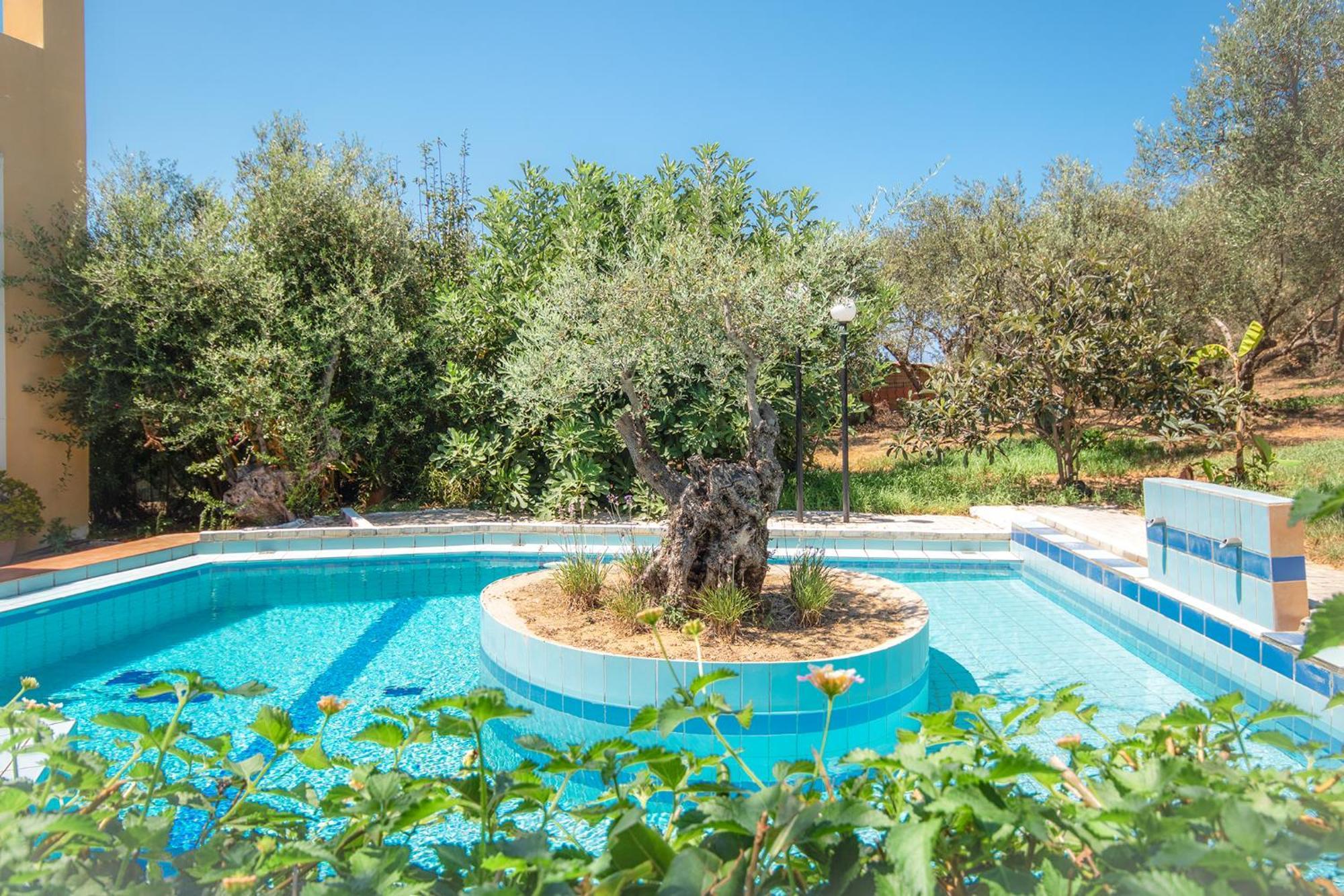 Agia Marina Olive Farmヴィラ エクステリア 写真