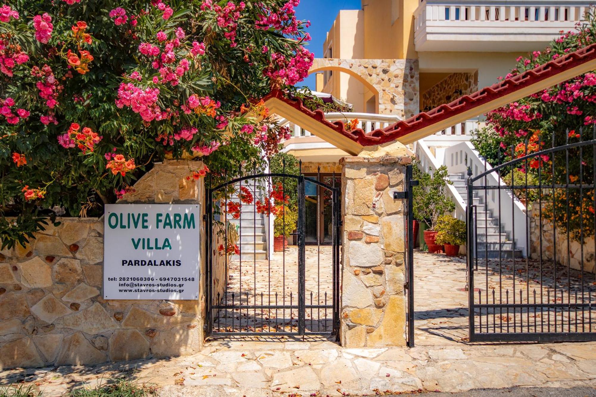 Agia Marina Olive Farmヴィラ エクステリア 写真